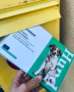 Wurmtest Hund per Post